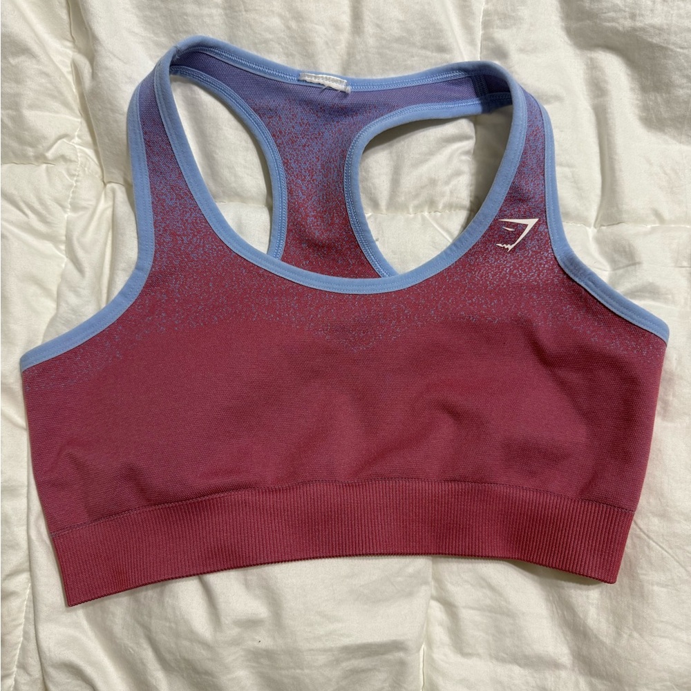 Women's Burgundy and Blue Sports Bra